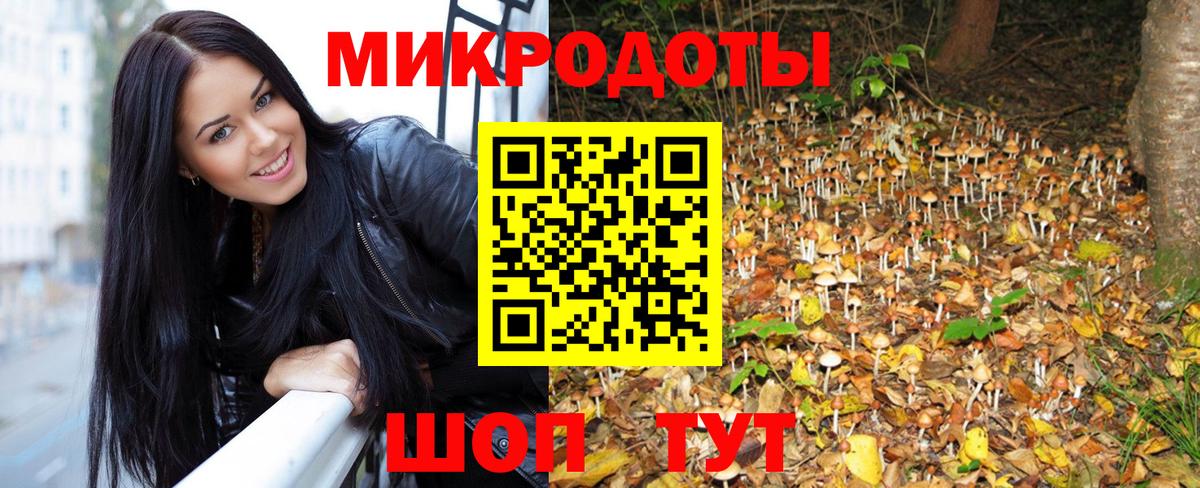 Псилоцибиновые грибы Magic Shrooms Юрга